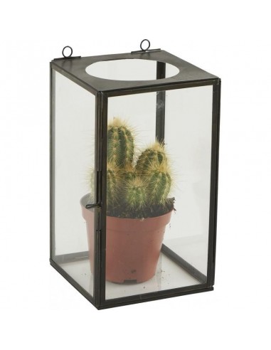 Jardin Vitro Solo ATHEZZA 12.5x12.5xH22cm pas chere