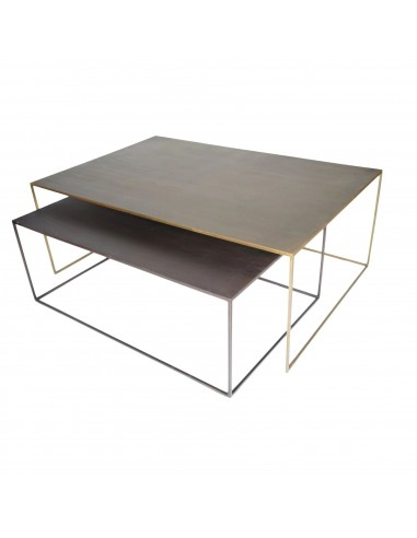 Table Basse MONA Rectangle 100x65xH38 cm une grave pollution 