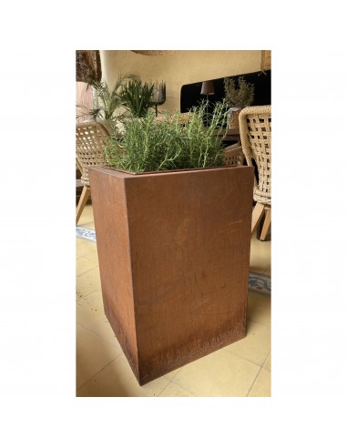 Jardinière Carrée Métal Rouillé 40x40xH60cm l'évolution des habitudes 